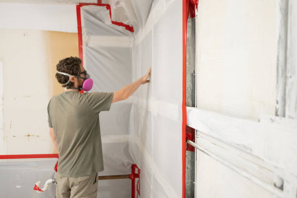 Reliable Governors Village, NC Mold Removal Solutions