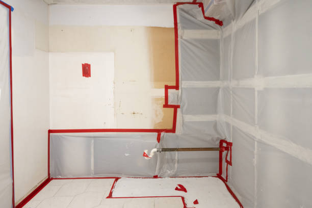 Best Emergency Mold Remediation  in Governors Village, NC