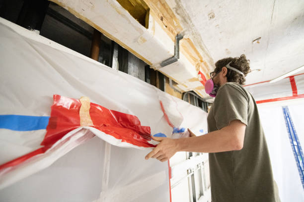Best Basement Mold Removal  in Governors Village, NC